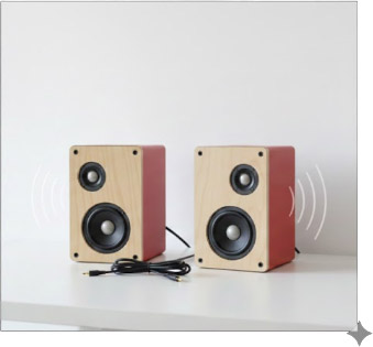 Build Your Own Speaker System